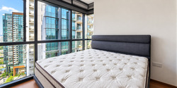 Normanton Park (D5), Apartment #622435401
